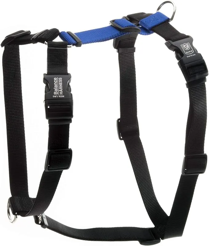 Blue-9 Buckle-Neck Balance Harness, Fully Customizable Fit No-Pull Harness, Ideal for Dog Training and Obedience, Made in The USA, Orange, Medium