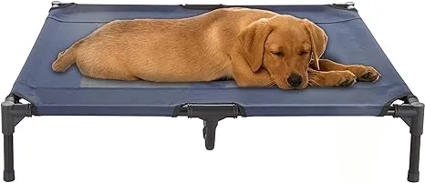 Petmaker Portable Raised Cot-Style Elevated Pet Bed, Blue