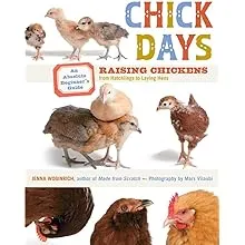 Chick Days Raising Chickens