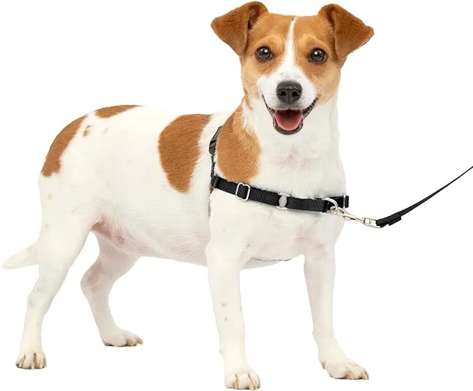 PetSafe Easy Walk Small Black Silver No-Pull Dog Harness 15-25 lbs Dogs ~ New