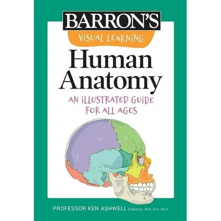 Barron s Visual Learning: Visual Learning: Human Anatomy: An Illustrated Guide for All Ages (Paperback)