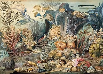 Ocean Life Jigsaw Puzzle: 1000 Pieces