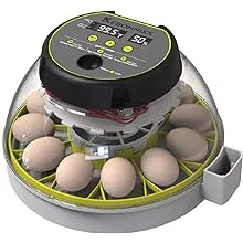 KEBONNIXS 12 Egg Incubator with Humidity Display