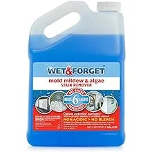 Wet & Forget Moss Mold Mildew & Algae Stain Remover