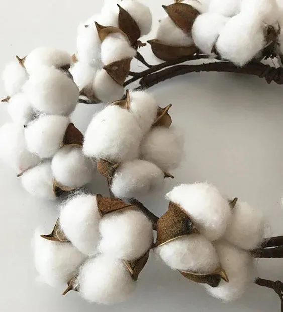 Real Cotton Bolls Wreath, Farmhouse Natural White Cotton Adjustable Stems for Indoor Home Wedding Centerpiece Decor Christmas Vintage Wreath Diameter 12"-24"