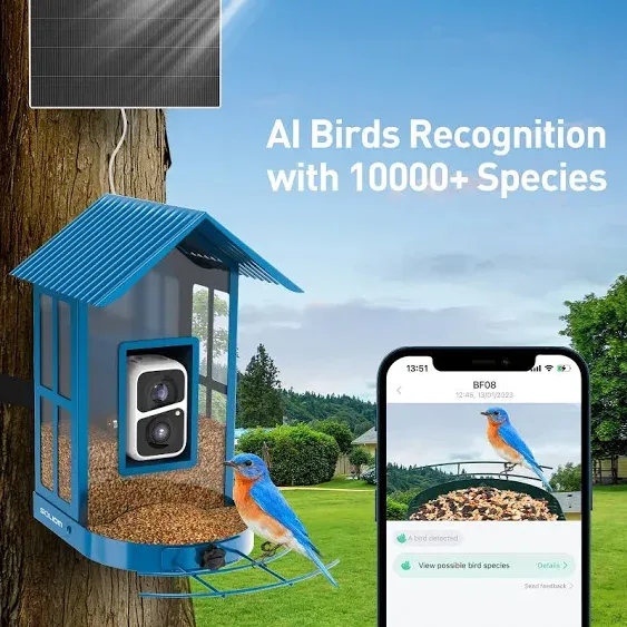 Soliom Bird Feeder with Camera Wireless Outdoor with AI Identify Bird Species