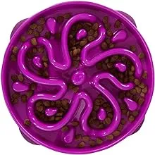 Outward Hound Fun Feeder Bowl Purple Mini