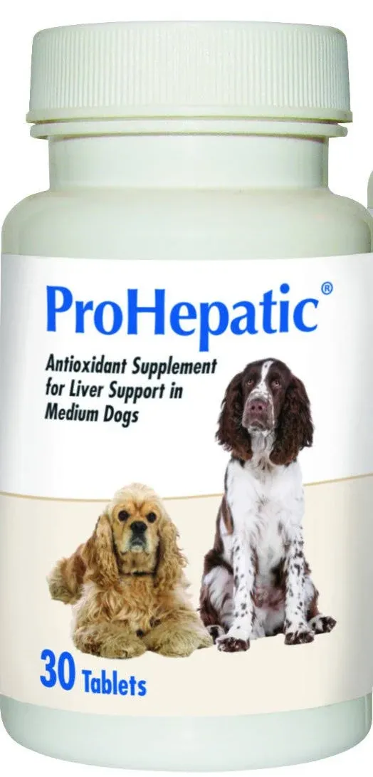 ProHepatic Liver Support Chewable Tablets for Large Dogs (60 count)