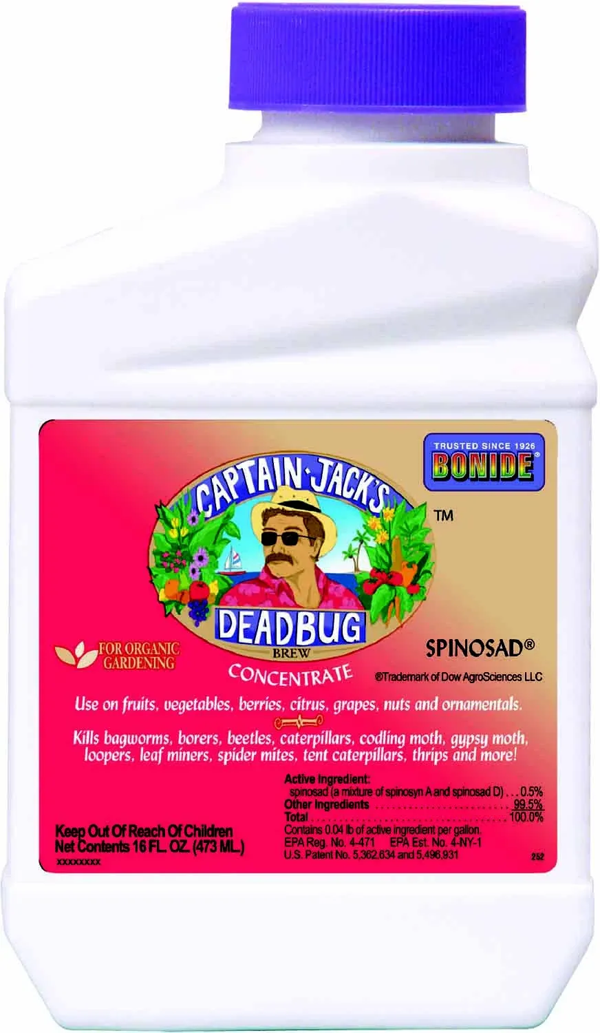 Captain Jack's Dead Bug Brew Concentrate - 16 oz jug