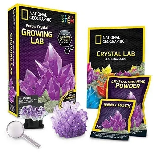 National Geographic Purple Crystal Growing Lab STEM Educational Activity for Kid