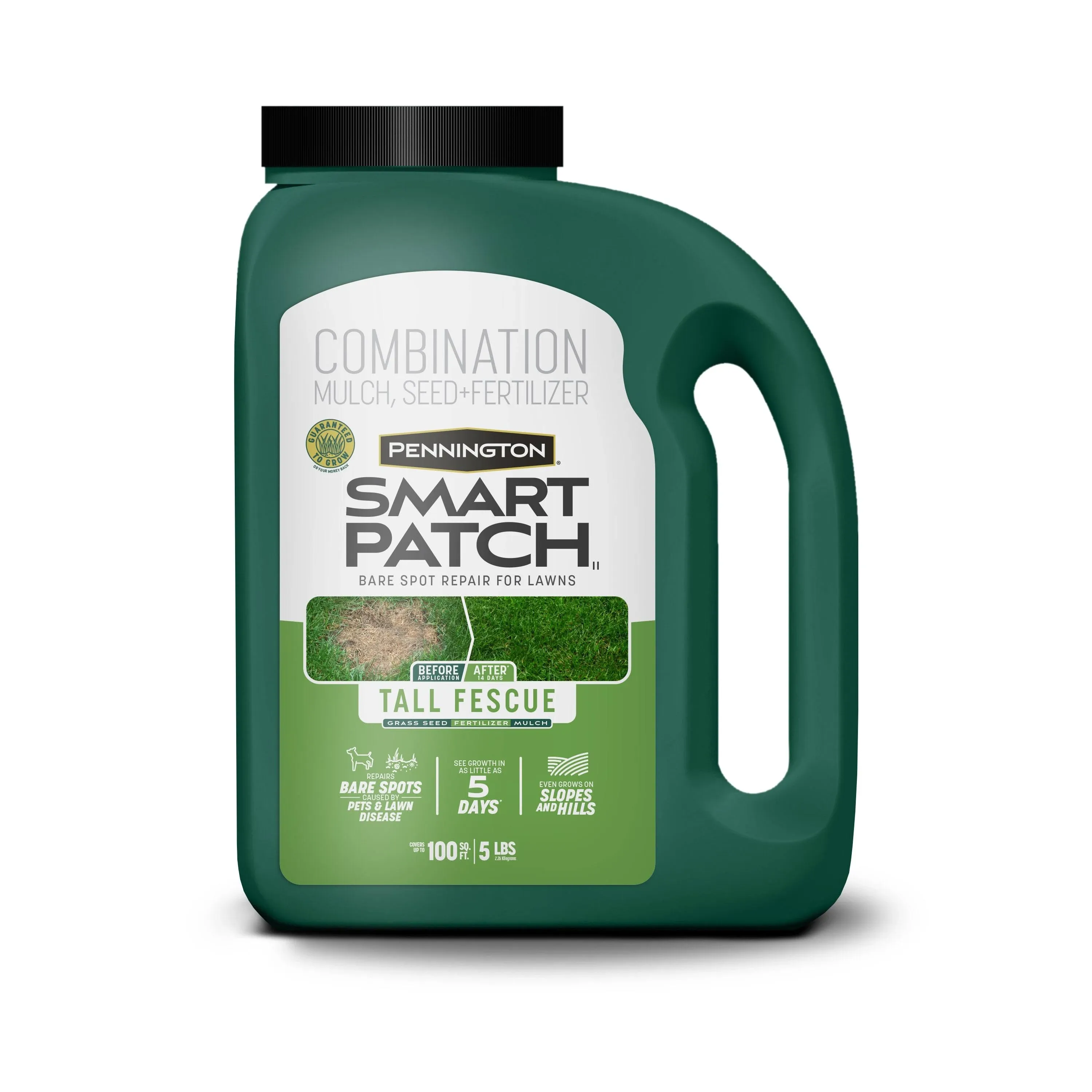 Pennington Smart Patch Tall Fescue Mix - 5 lb