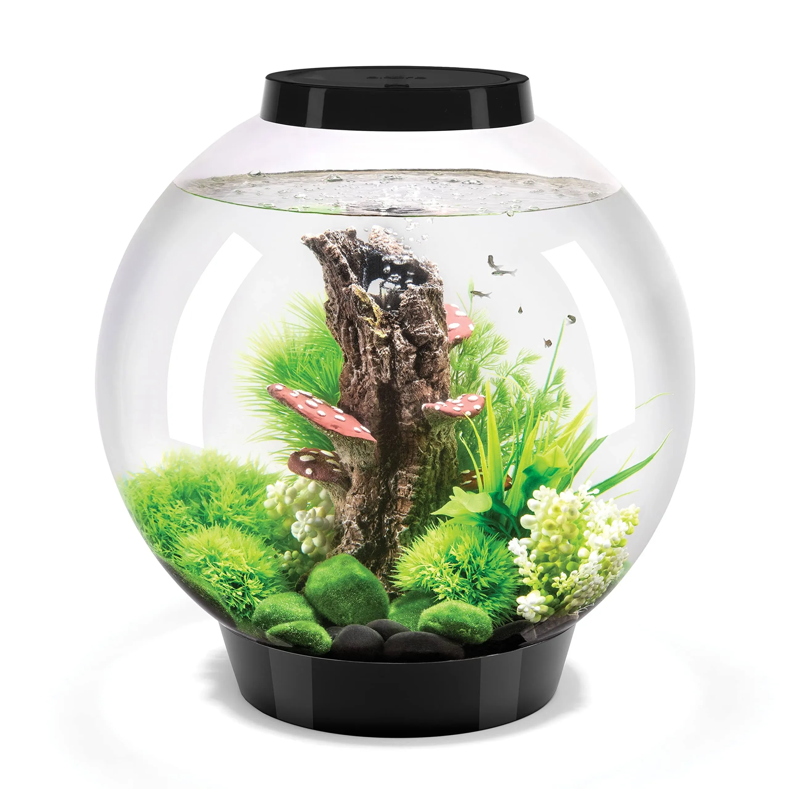 biOrb Classic 30 Aquarium with Standard Light -8 Gallon ,Black