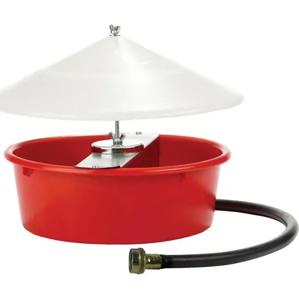 Little Giant Automatic Poultry Waterer