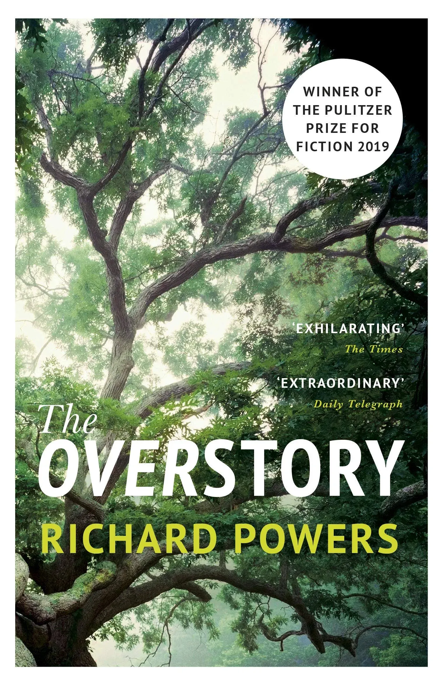 The Overstory: A Novel 