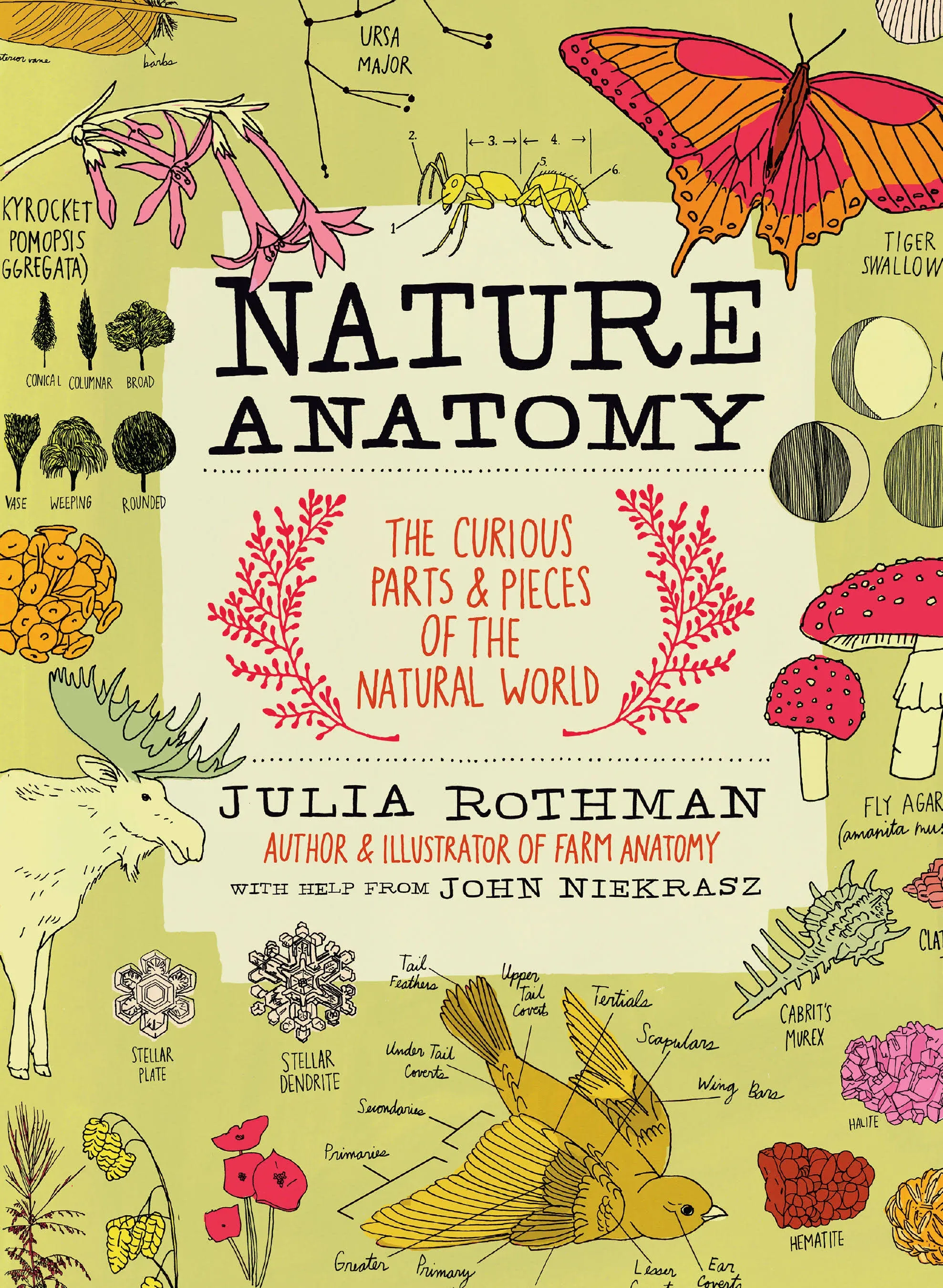 Nature Anatomy: The Curious Parts and Pieces of the Natural World