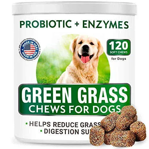 All-Natural Grass Burn Spot Chews for Dogs - Pee Lawn Spot Saver - Grass Restore Treats - Dog Urine Neutralizer Solution for Grass Burn Spots - Made in USA - 120 Chews