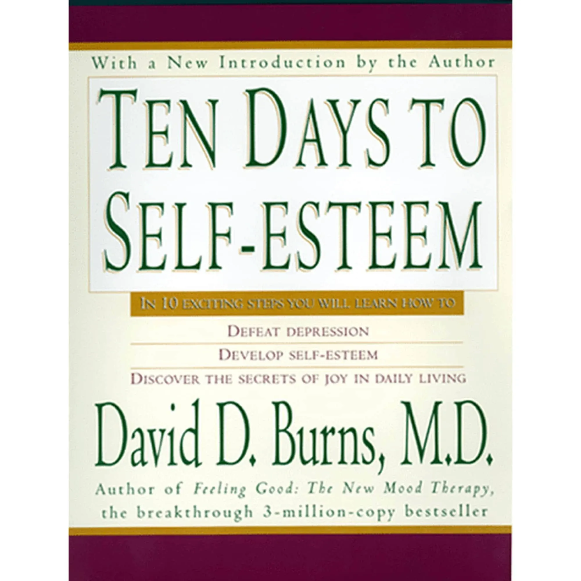 David D Burns Ten Days To Self Esteem (Taschenbuch)