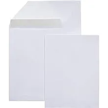  Basics Catalog Mailing Envelopes, Peel &amp; Seal, 9x12 Inch, 100-Pack, White