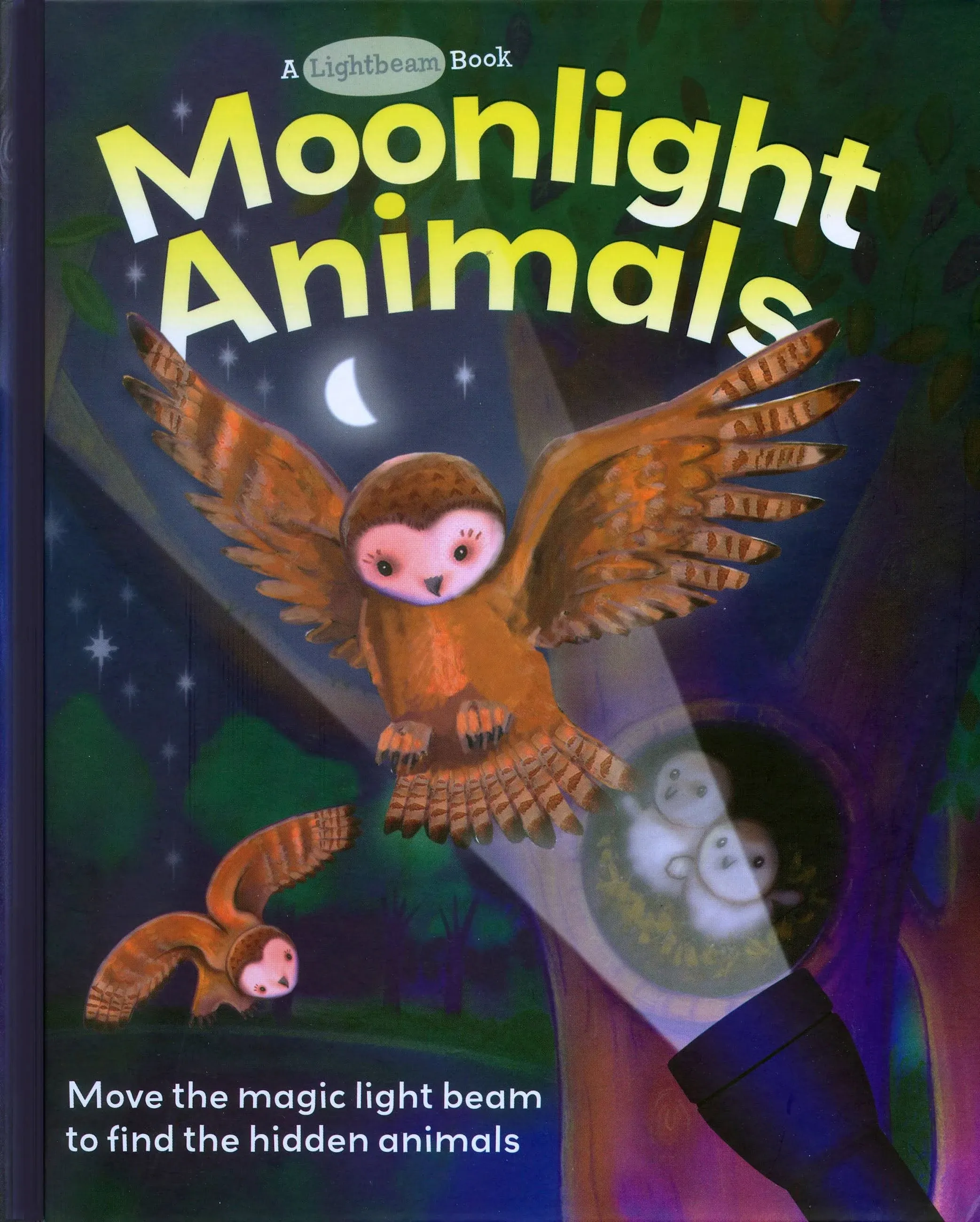 Elizabeth Golding, Ali Lodge'sMoonlight Animals (Lightbeam Books) [Hardcover]2011