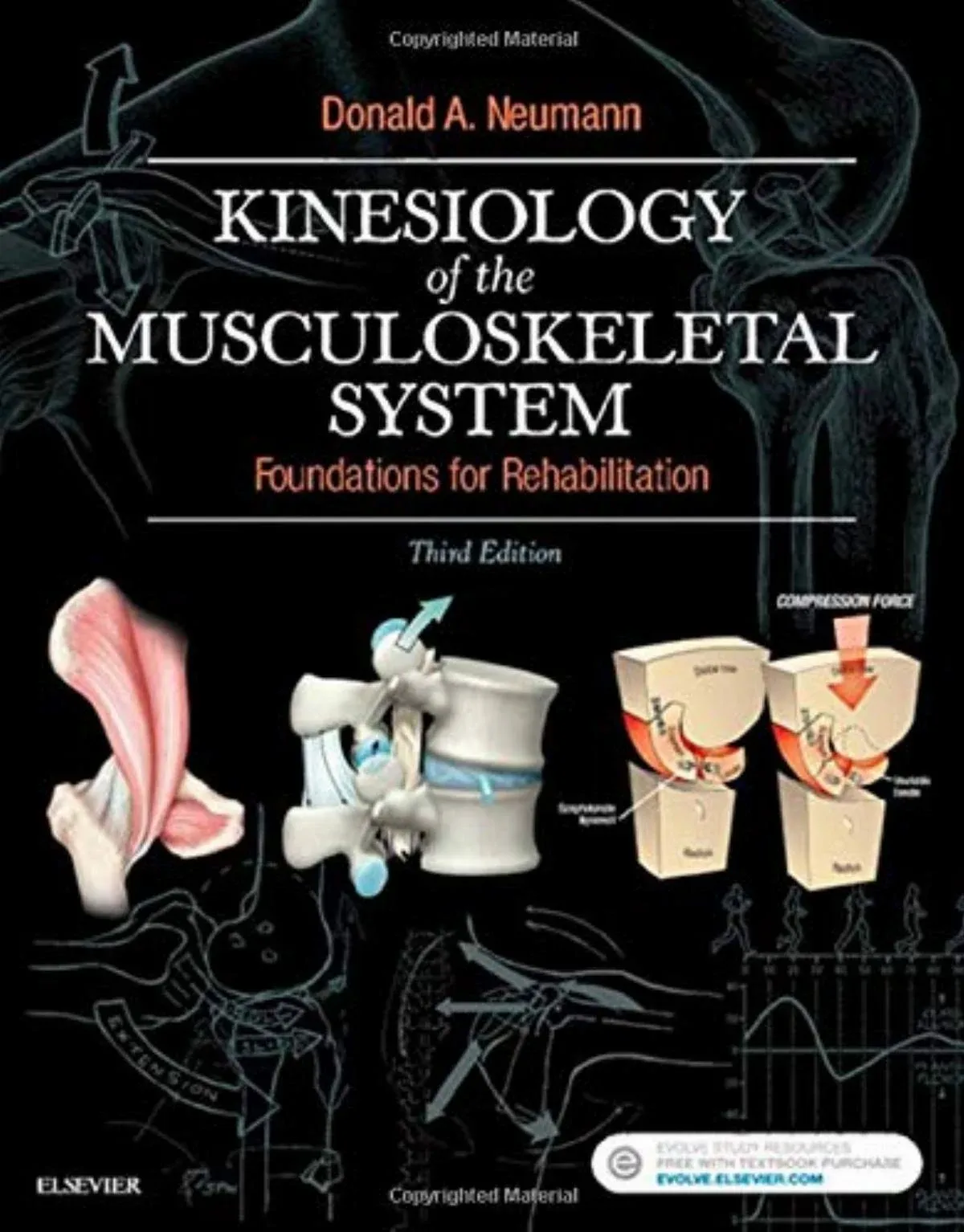 Kinesiology of the Musculoskeletal System: Foundations for Rehabilitation [Book]