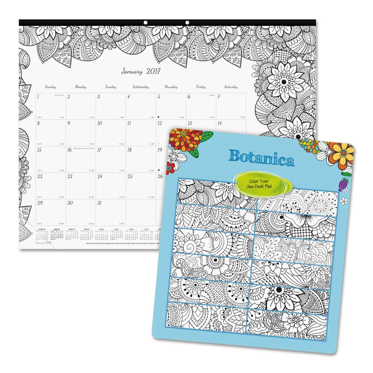 2025 Blueline DoodlePlan Monthly Desk Pad Coloring Calendar