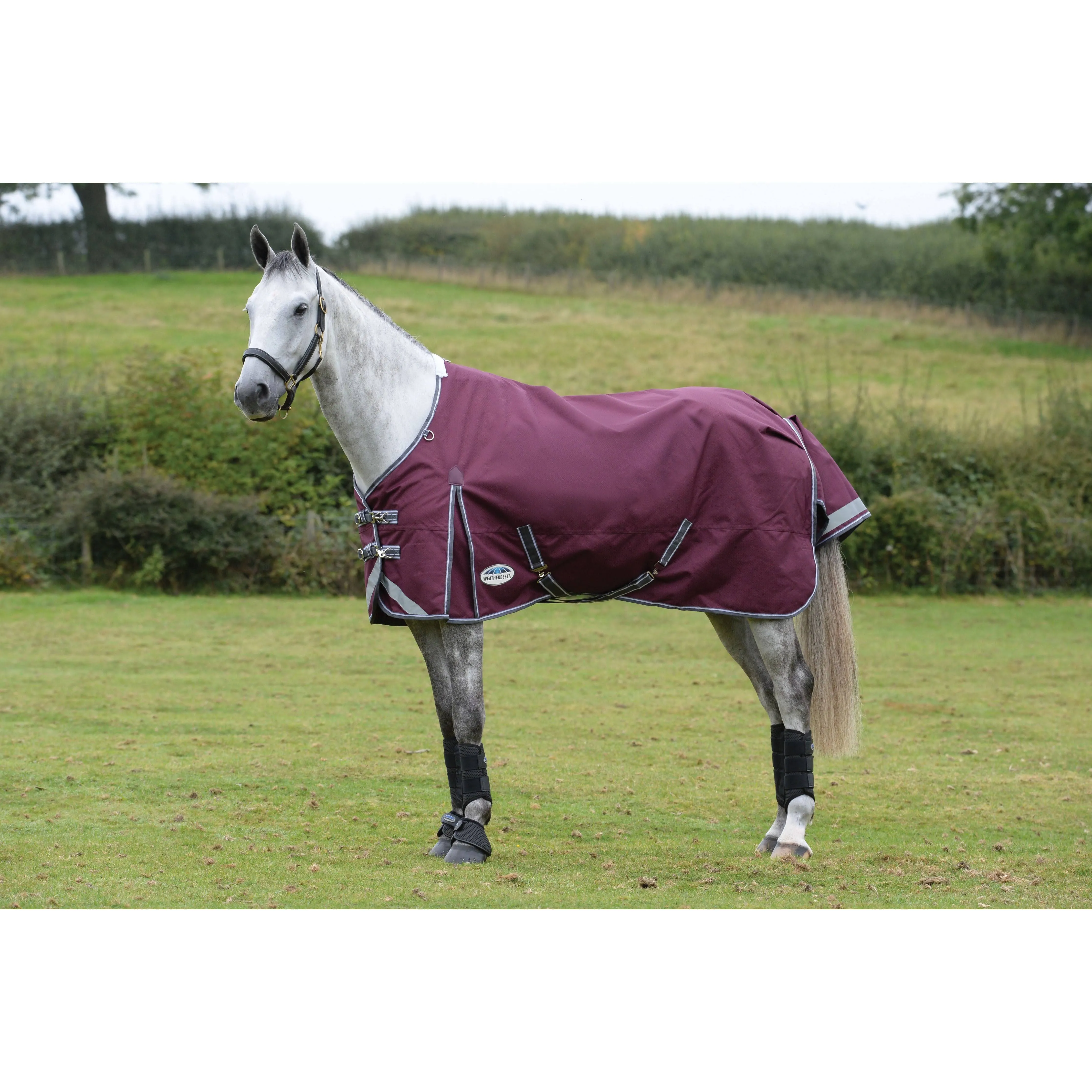 WeatherBeeta ComFiTec Plus Dynamic II Standard Neck Lite Weight 0g Turnout Rug