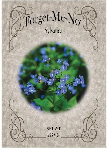 Set of 50 Forget Me Not Valley Green Flower Seed Packets! Flower Seeds in Bulk - Forget Me Nots