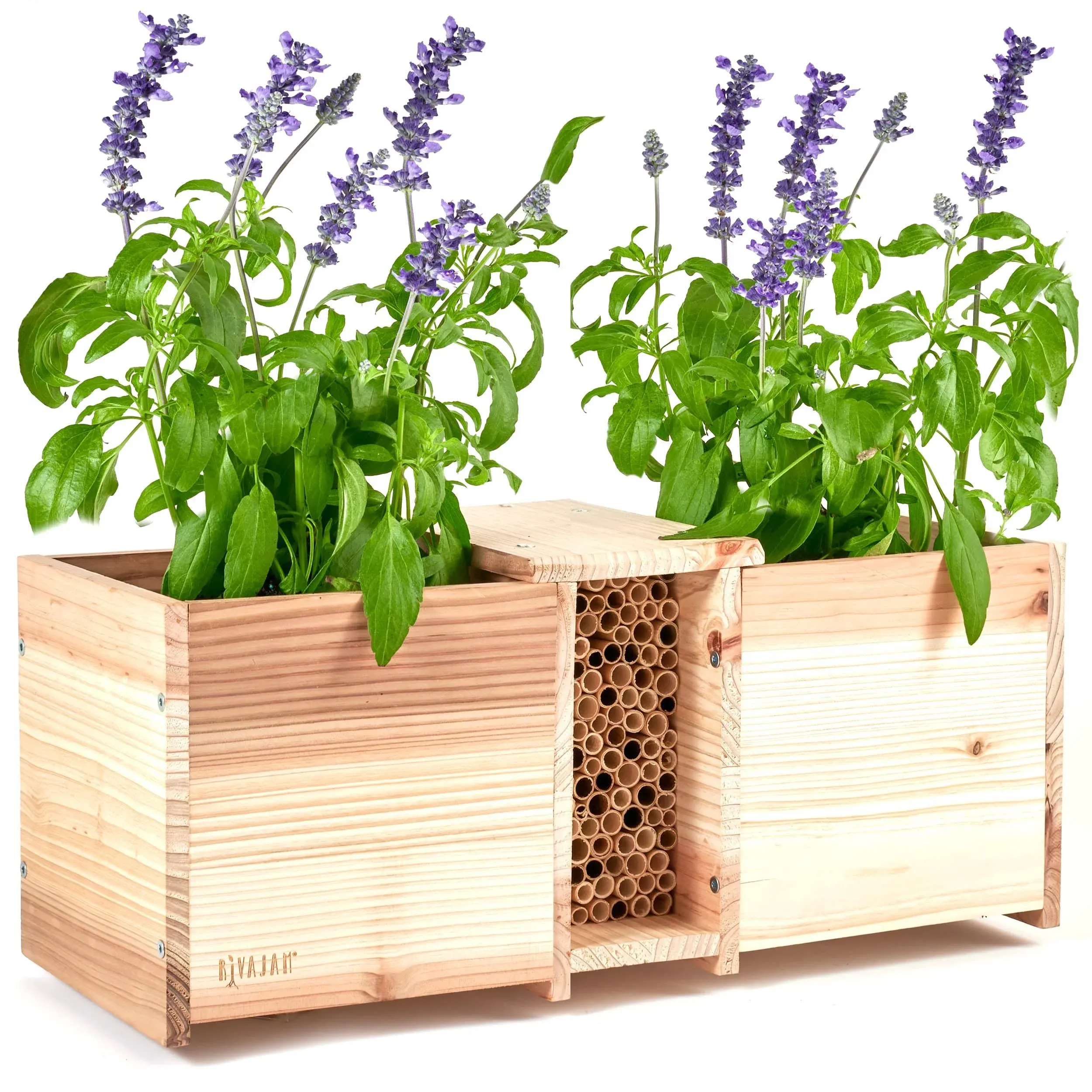 Rivajam Build a Bee House Planter Box DIY Flatpack Kit | Phragmite Reed Mason Bee Tubes Pollinator House & Wooden Planter Box Combo