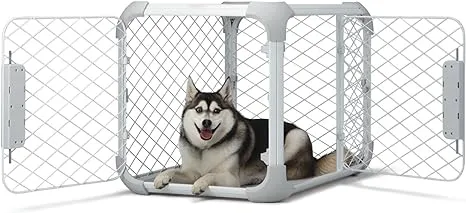 Diggs Medium Evolv Dog Crate - Ash