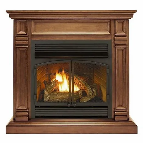 Duluth Forge Dual Fuel Ventless Gas Fireplace