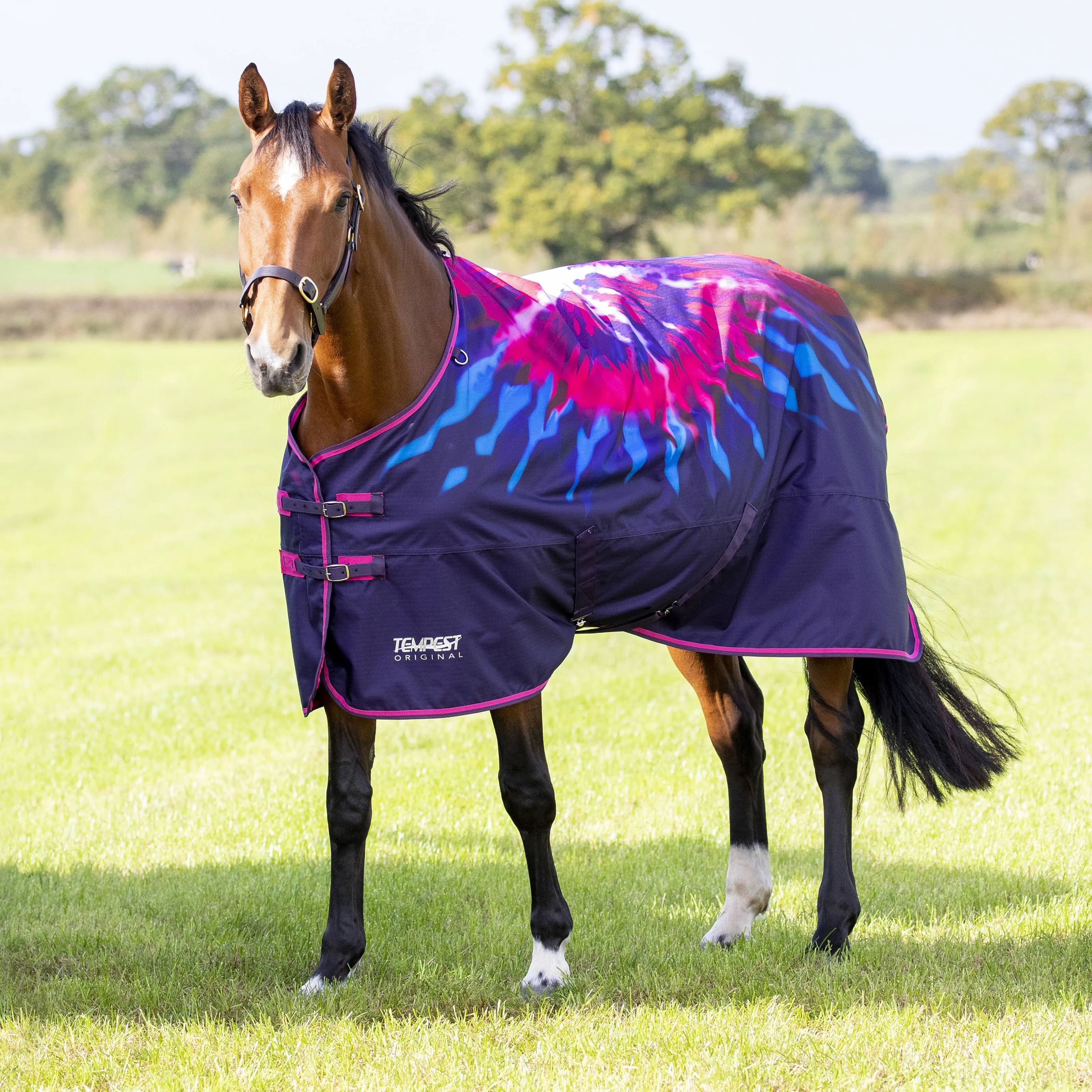 Shires Miniature Highlander Turnout Sheet (0g Lite) Pink Tie Dye / 42