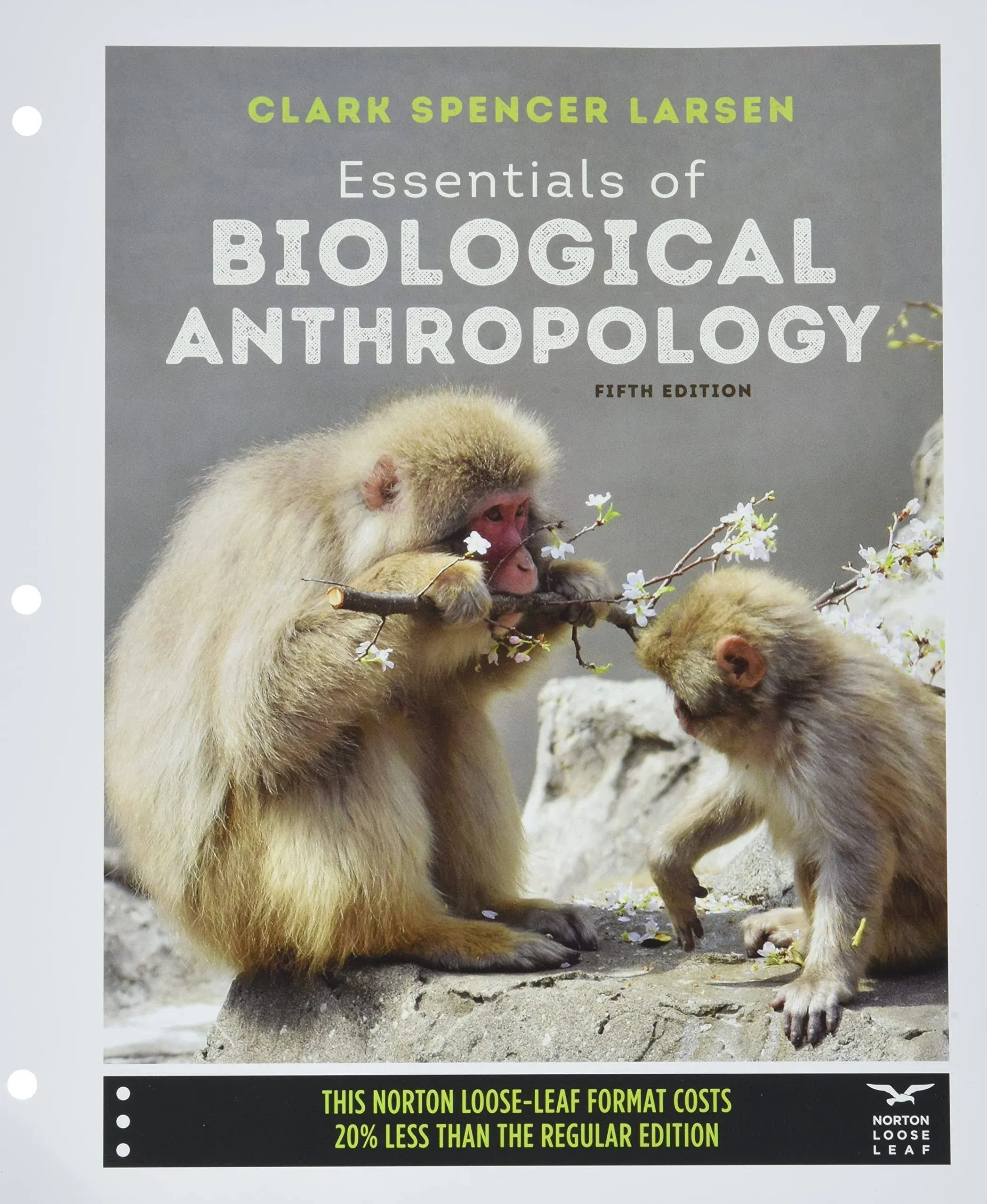 Essentials of Biological Anthropology