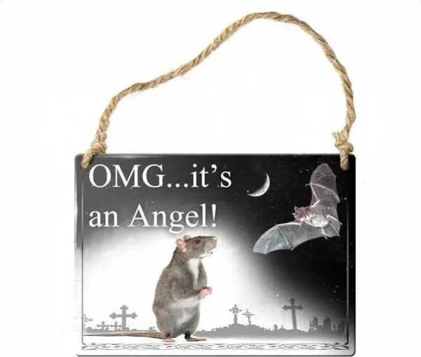 Alchemy Gothic SMALL Hanging Metal Sign OMG It's An Angel