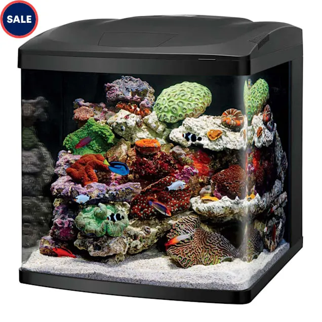 Coralife LED Biocube Aquarium, 32 Gallon