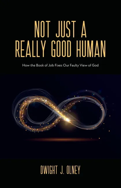 Not Just a Really Good Human: How the Book of Job Fixes Our Faulty View of God (Paperback)