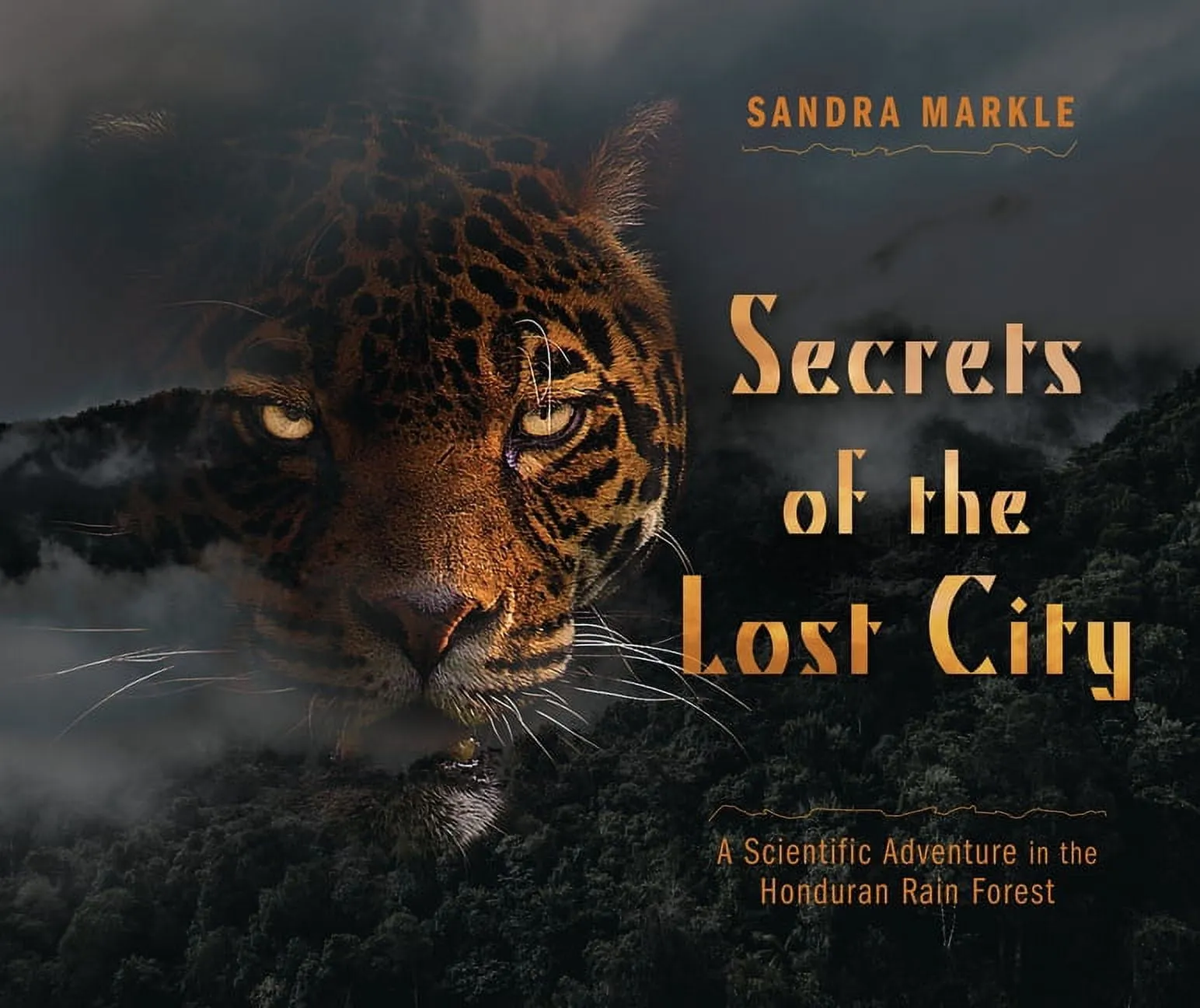 Sandra Markle's Science Discoveries: Secrets of the Lost City : A Scientific Adventure in the Honduran Rain Forest (Hardcover)