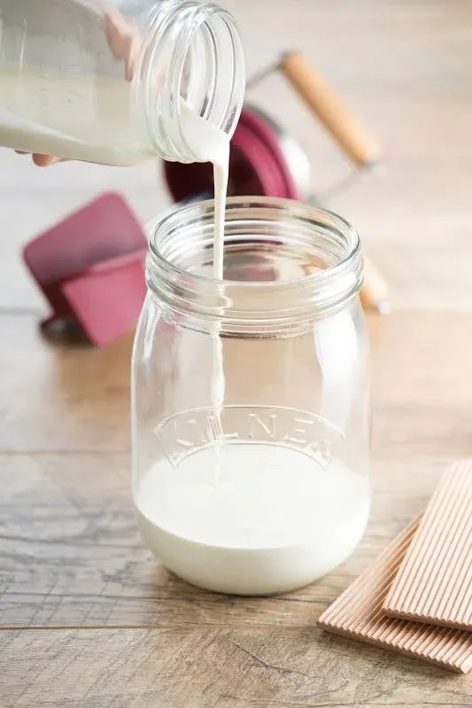 Kilner Butter Churner