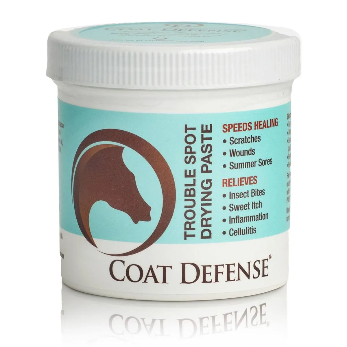 Coat Defense Trouble Spot Drying Paste - 10 oz