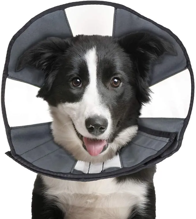 CS Tech Procone Soft Recovery Collar