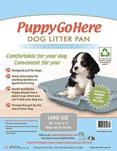 Dog Litter Pan Misty Gray Color, Size: 24&#034; X 20&#034; X 5&#034;. Low Opening Is on the 24&#034;