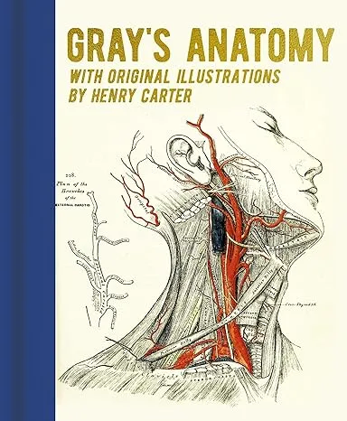 Gray's Anatomy