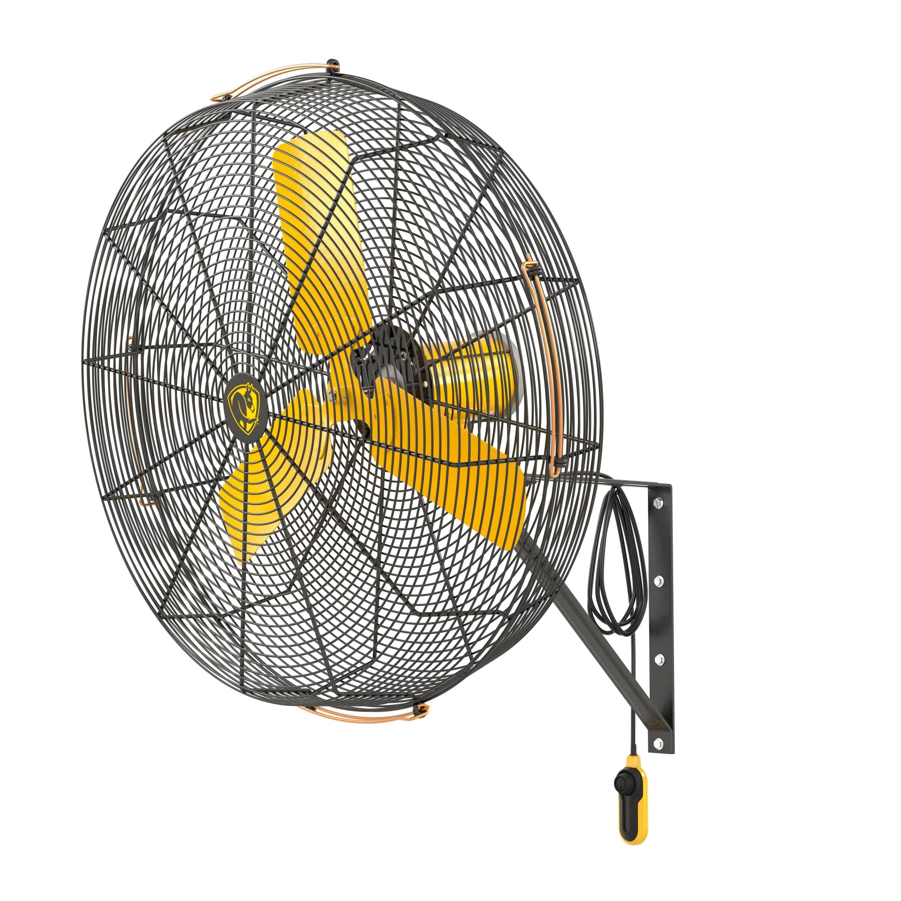 Big Ass Fans AirEye 30-in Indoor Black Wall Mounted Fan | F-AE1-3001L13S34