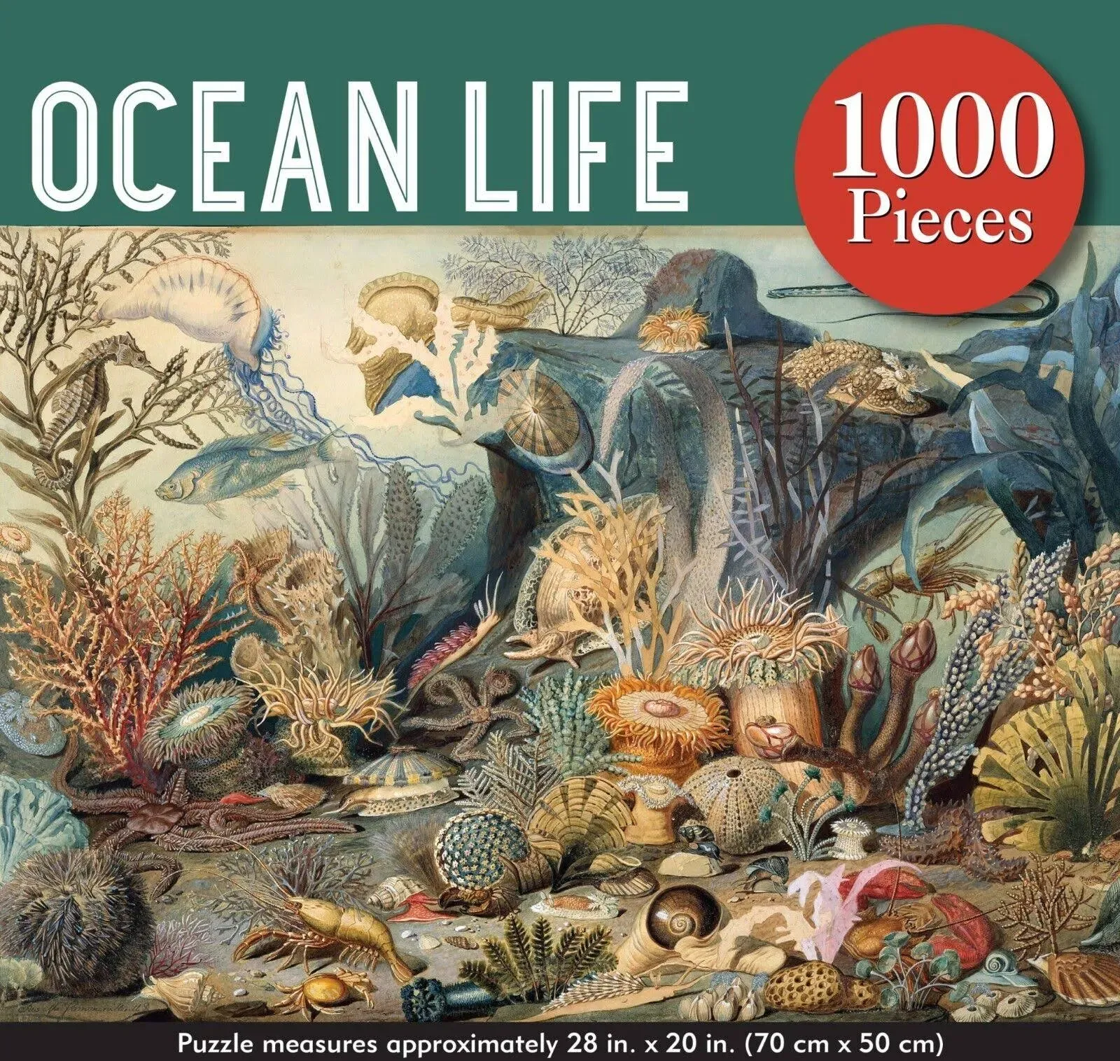 Puzzle Ocean Life