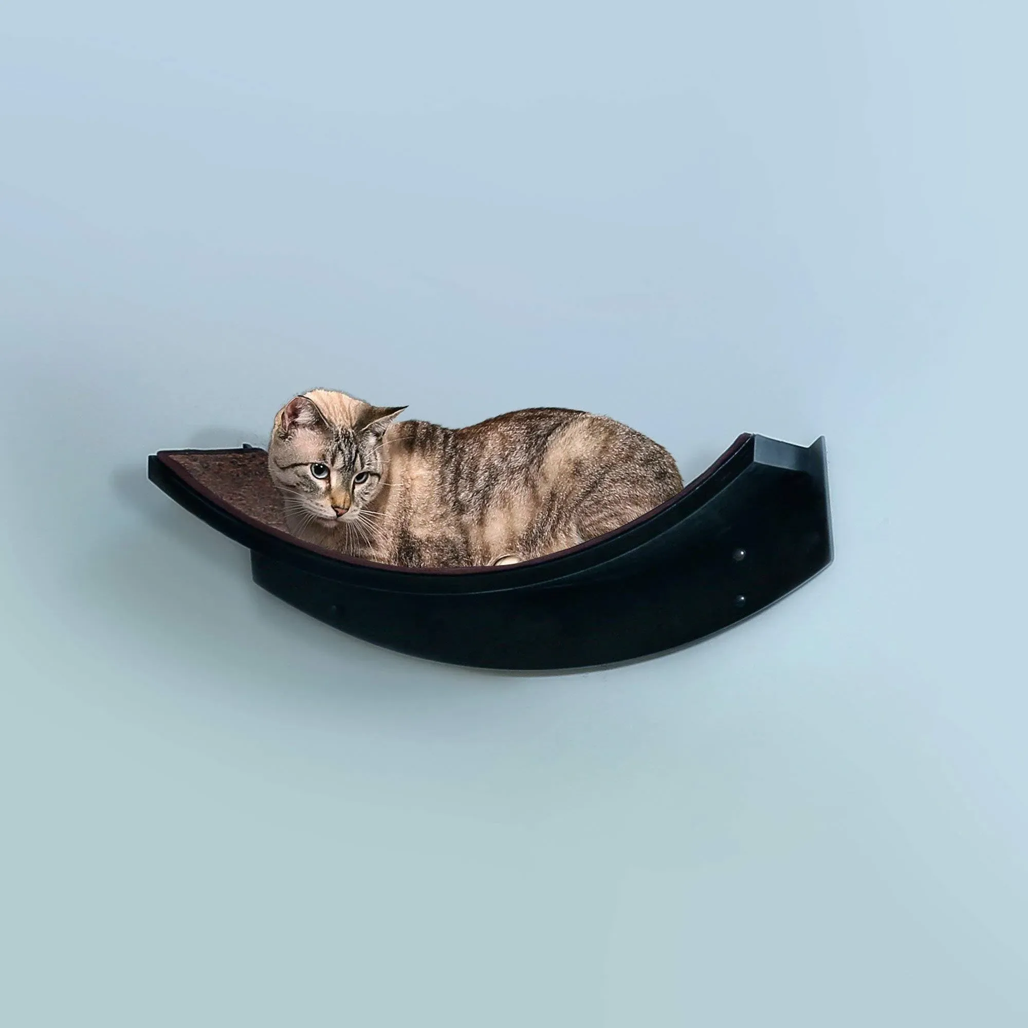 The Refined Feline 22 inch Lotus Leaf Cat Shelf in Black Espresso with ...