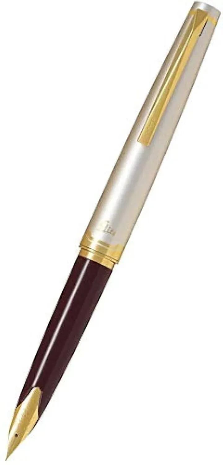 Pilot Namiki Fountain Pen Elite 95S Deep Red Medium Nib FES-1MM-DR-M from Japan