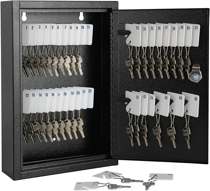 KYODOLED Key Storage Lock Box with Key, Locking Key Cabinet, 40 Key Holder Box Wall Mount with Key Lock, Key Hooks & Tags Key Labels, 2.5" D x 8.1" W x 12.1" H (Black,40 Key)