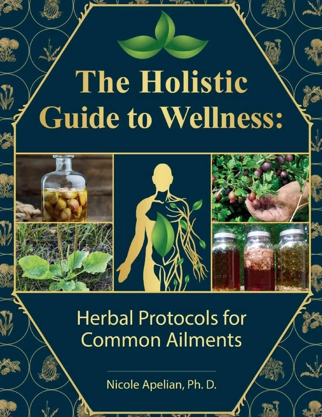 The Holistic Guide to Wellness: Herbal Protocols for Common Ailments [Book]