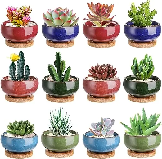 Lawei 12 Pack Ice Crack Succulent Pots with Bamboo Saucer - Ceramic Mini Cactus Plant Pots Flower Pots Container Planter for Home Garden Office Decoration