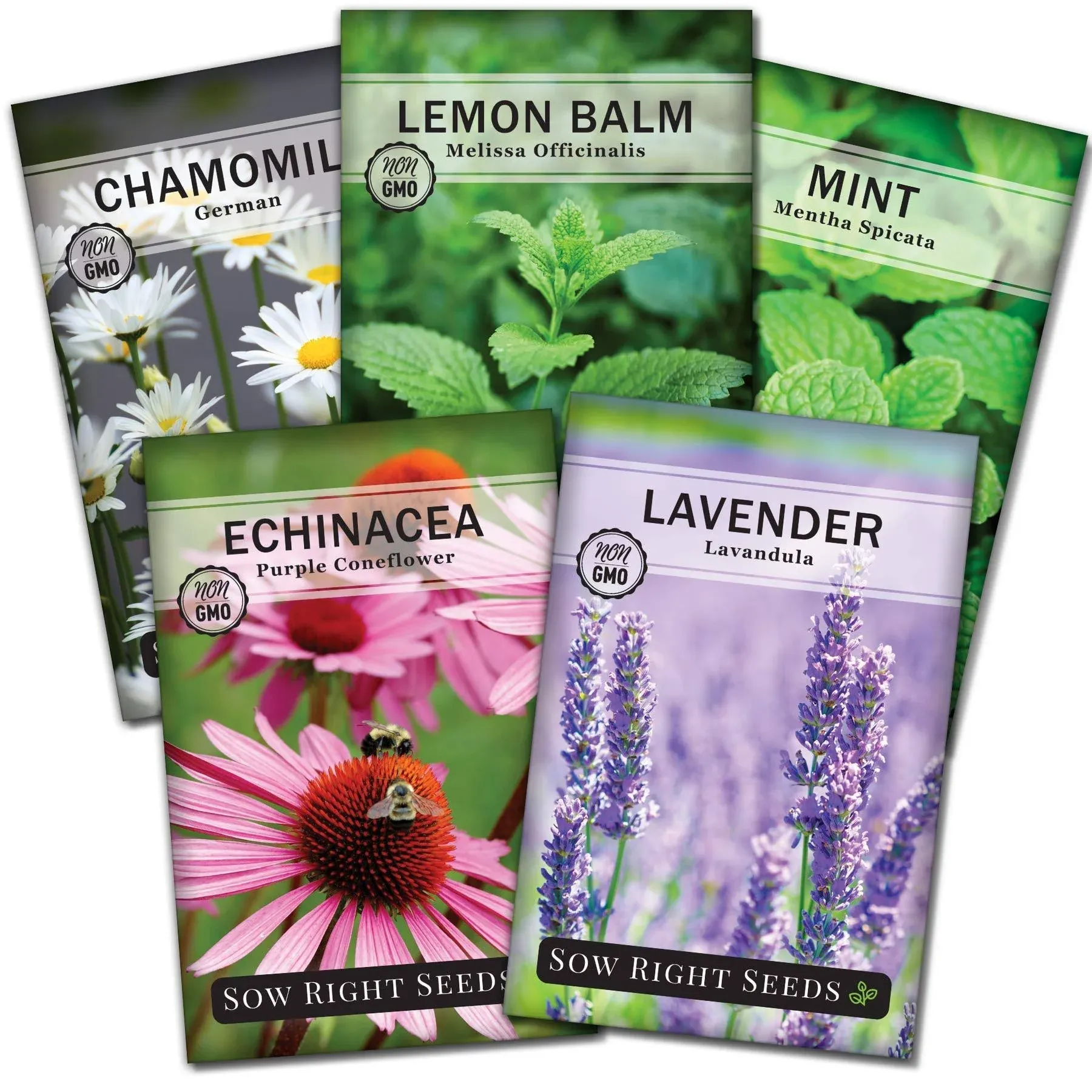 Sow Right Seeds - Herbal Tea Collection - Lemon Balm, Chamomile, Mint, Lavender, Echinacea Herb Seed for Planting; Non-GMO Heirloom Seed, Instructions to Plant Indoor or Outdoor; Gardening Gift