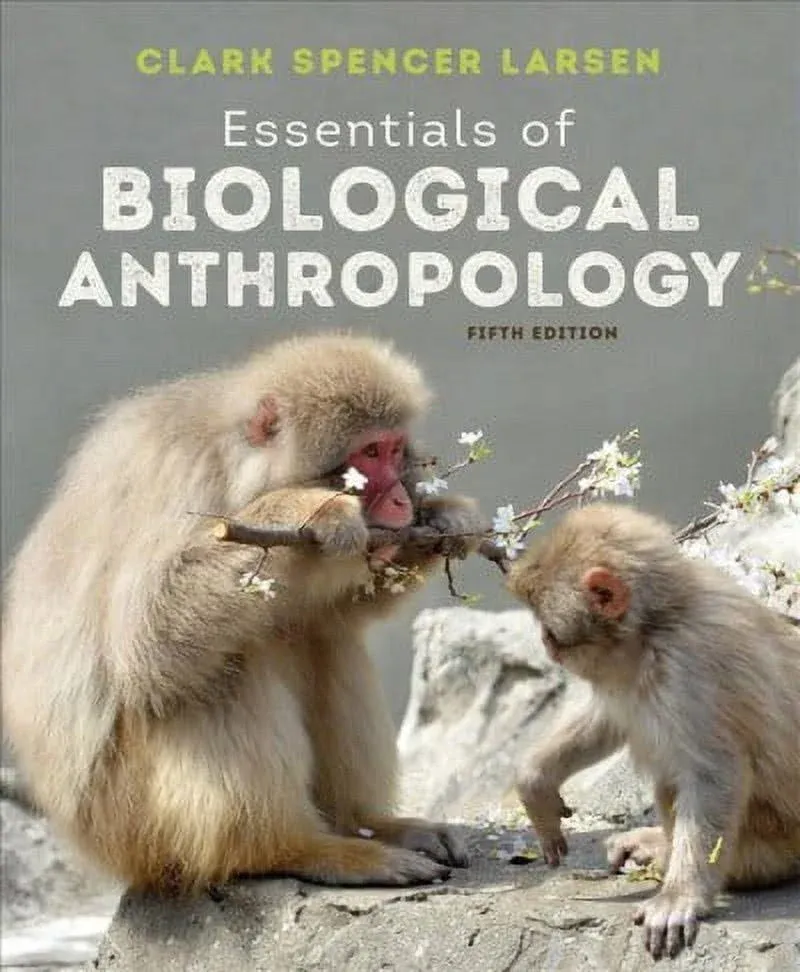 Essentials of Biological Anthropology - Paperback, by Larsen Clark Spencer - New